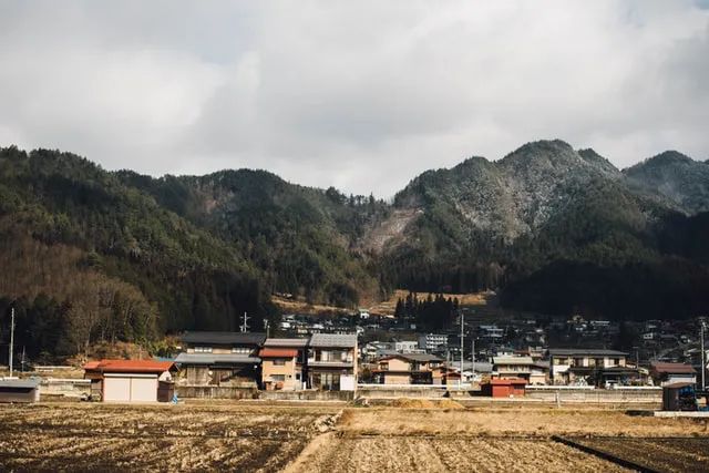 劉守英：鄉(xiāng)村振興需要改革城市化模式