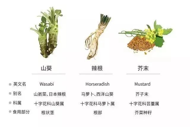 日本百年芥末農(nóng)場(chǎng)：精耕單品，專注美食，以靜制動(dòng)